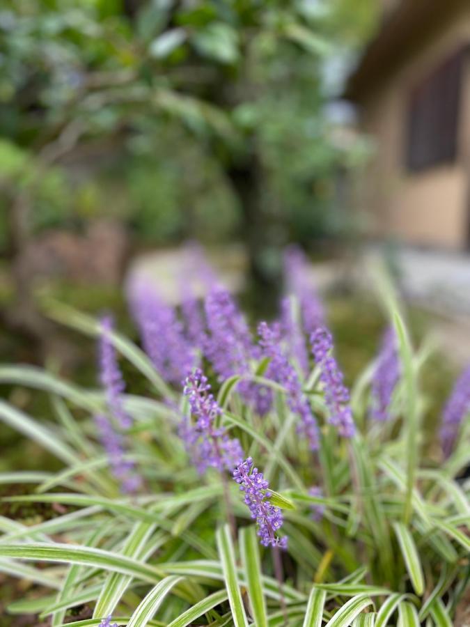 Ryokan Genhouin Kyōto Exterior foto